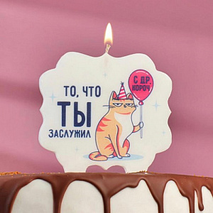 Свеча для торта "Кот. С ДР, короч", 10х10 см